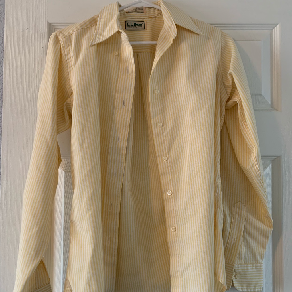 Striped Button Down Ll Bean